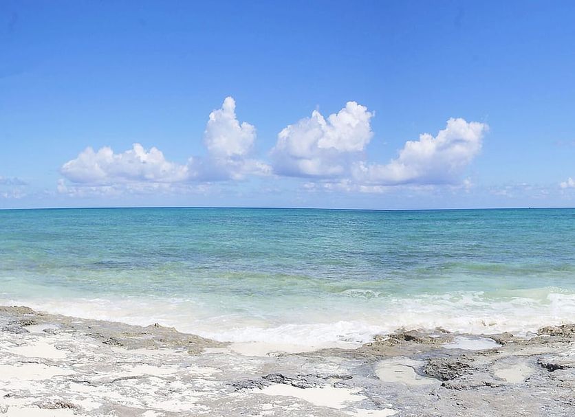Strand Billede