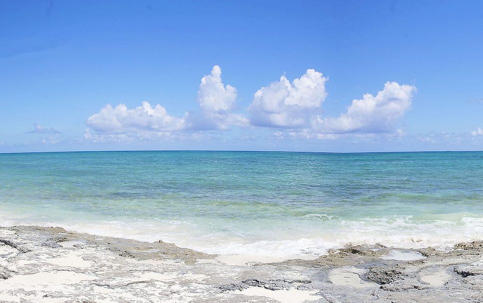 Strand Billede