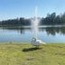 Andet