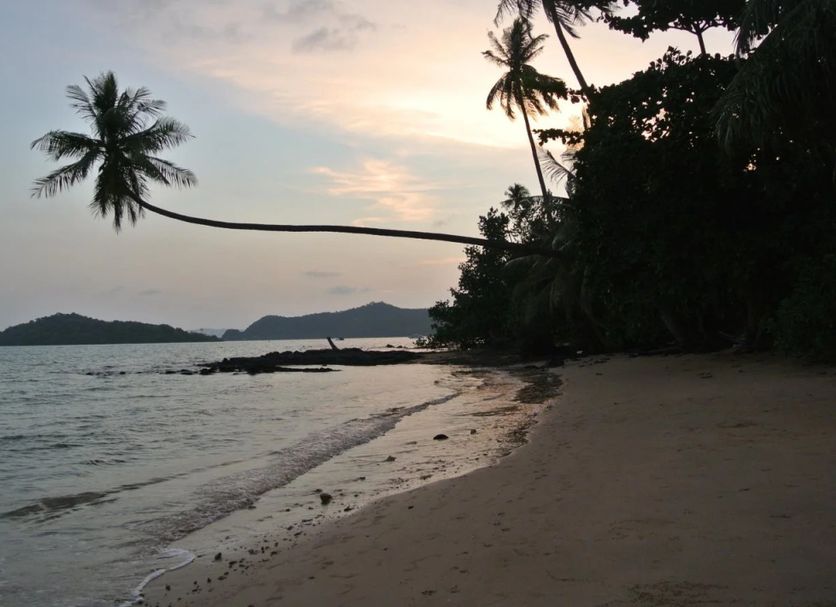Strand Billede