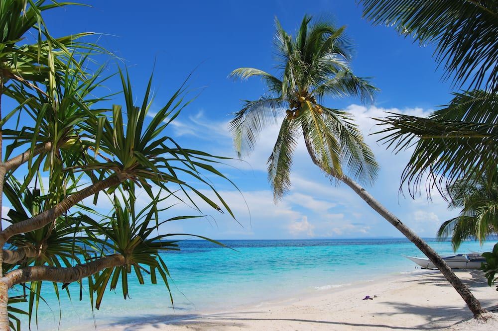 Strand Billede