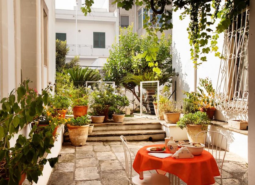 Patio Billede