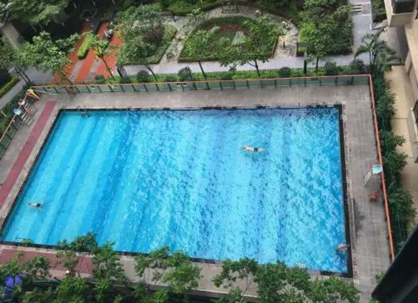 Pool Billede