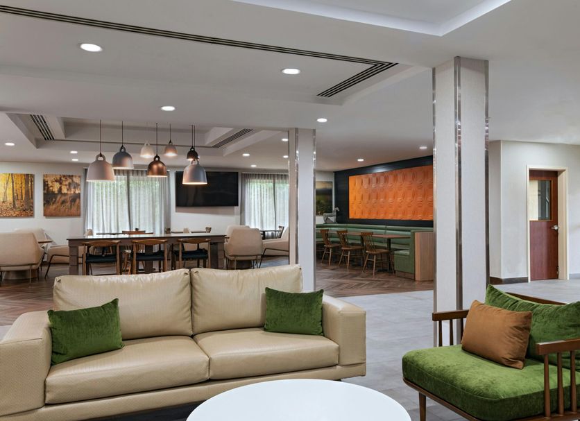 Lounge Billede