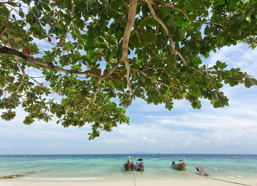 Strand Billede