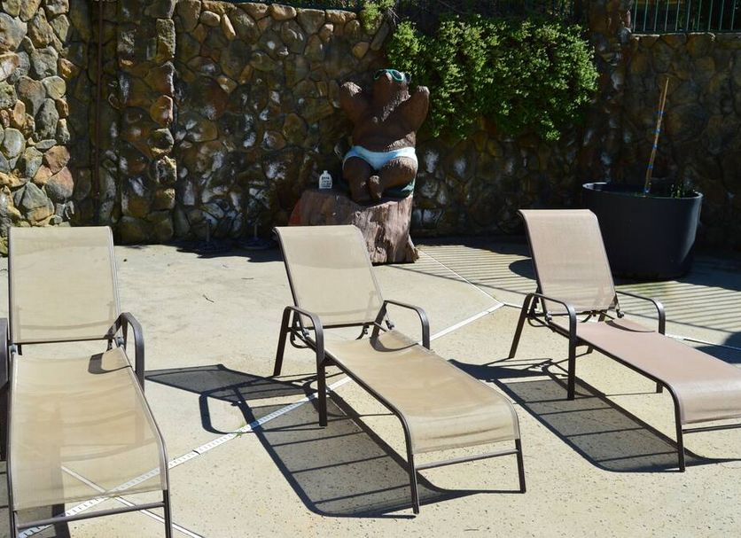 Patio Billede