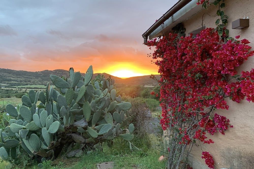 Udsigt