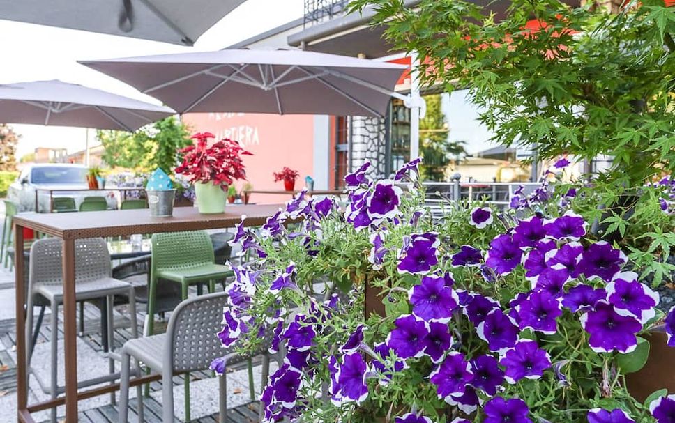 Patio Billede