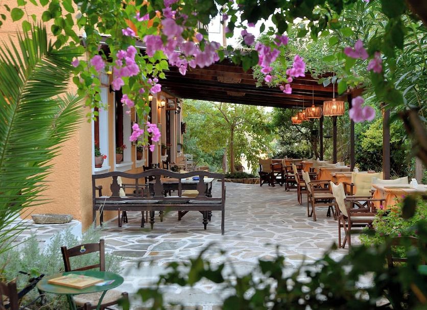 Patio Billede