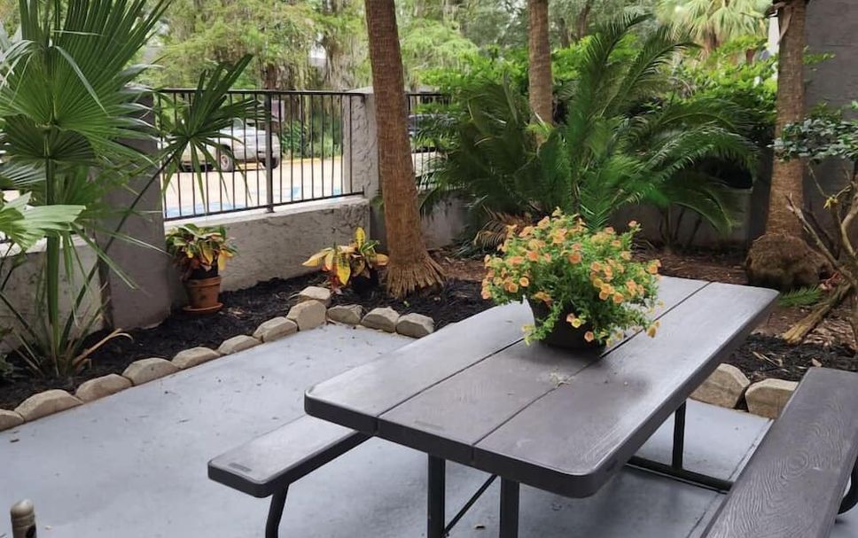 Patio Billede