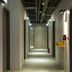 Gang