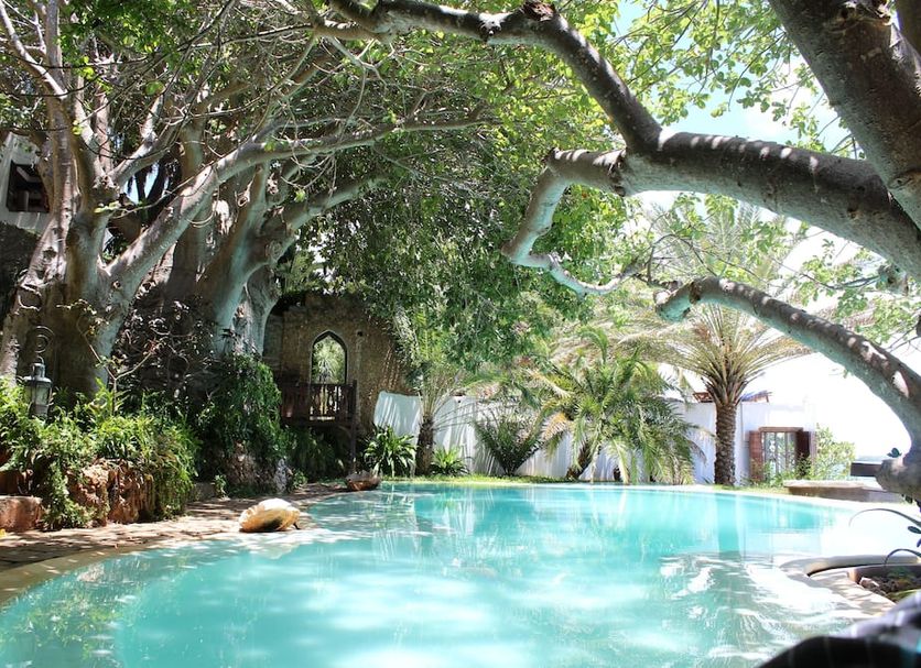 Pool Billede
