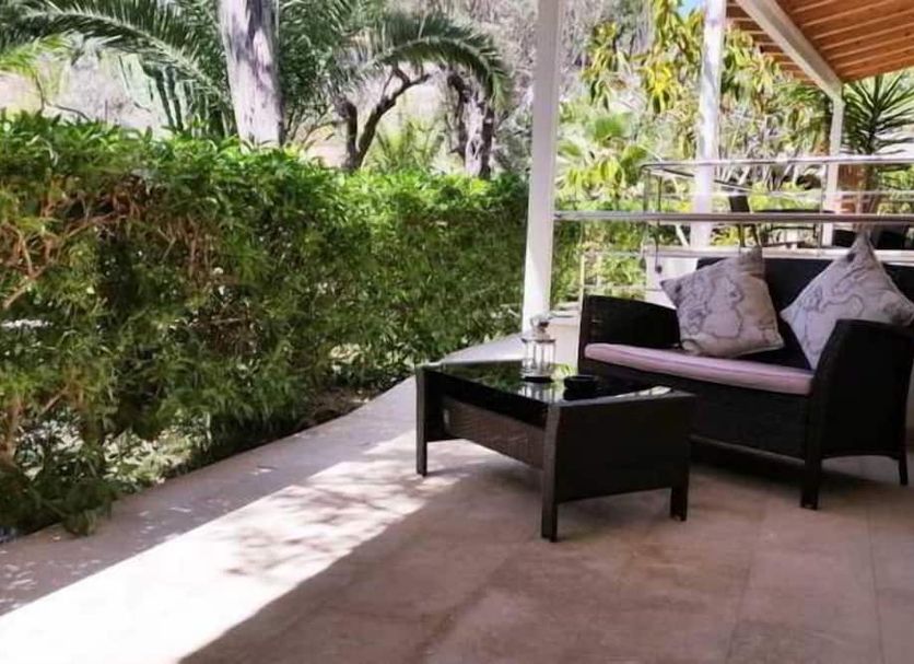 Patio Billede