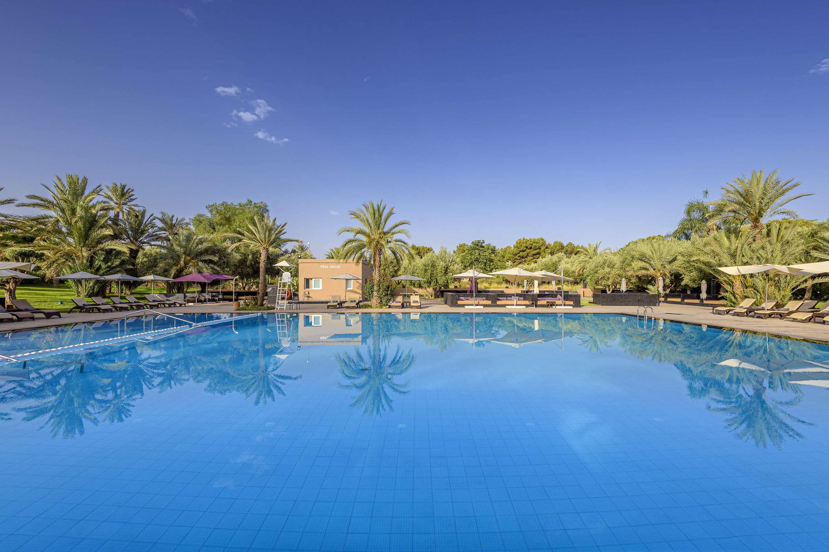 Pool Billede