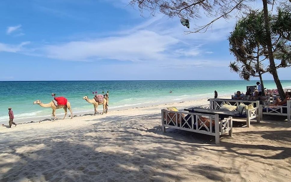 Strand Billede