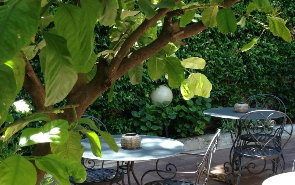 Patio Billede