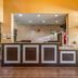 Receptionist