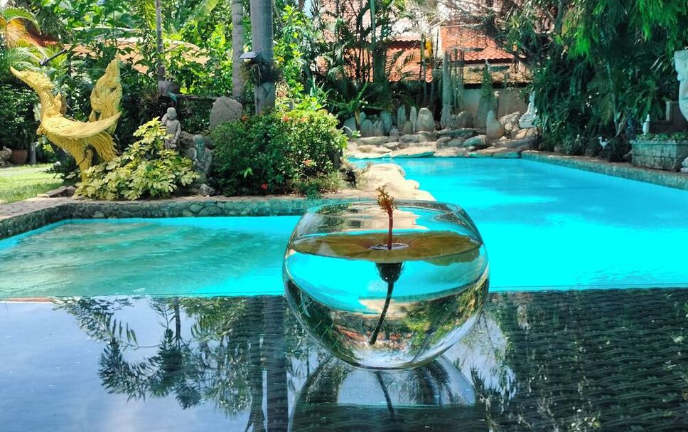 Pool Billede