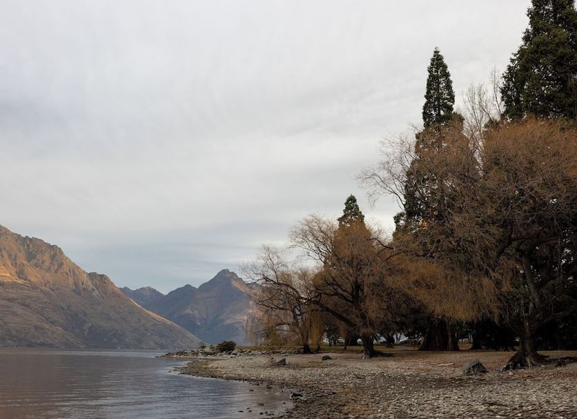 Udsigt Billede