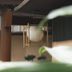 Udsigt
