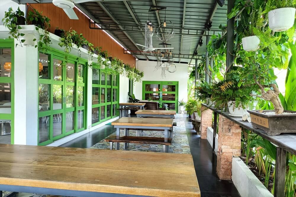 Patio Billede