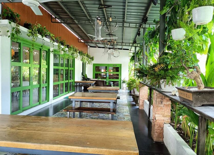 Patio Billede