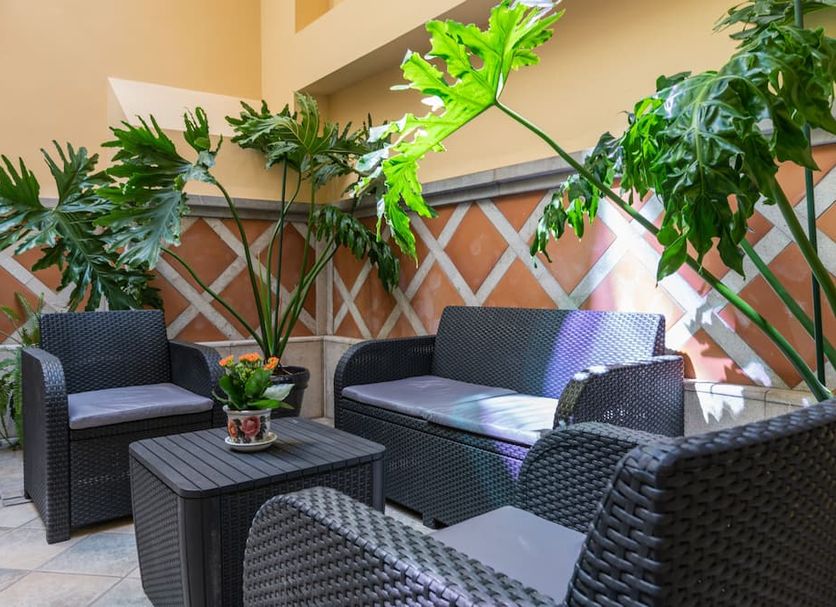 Patio Billede