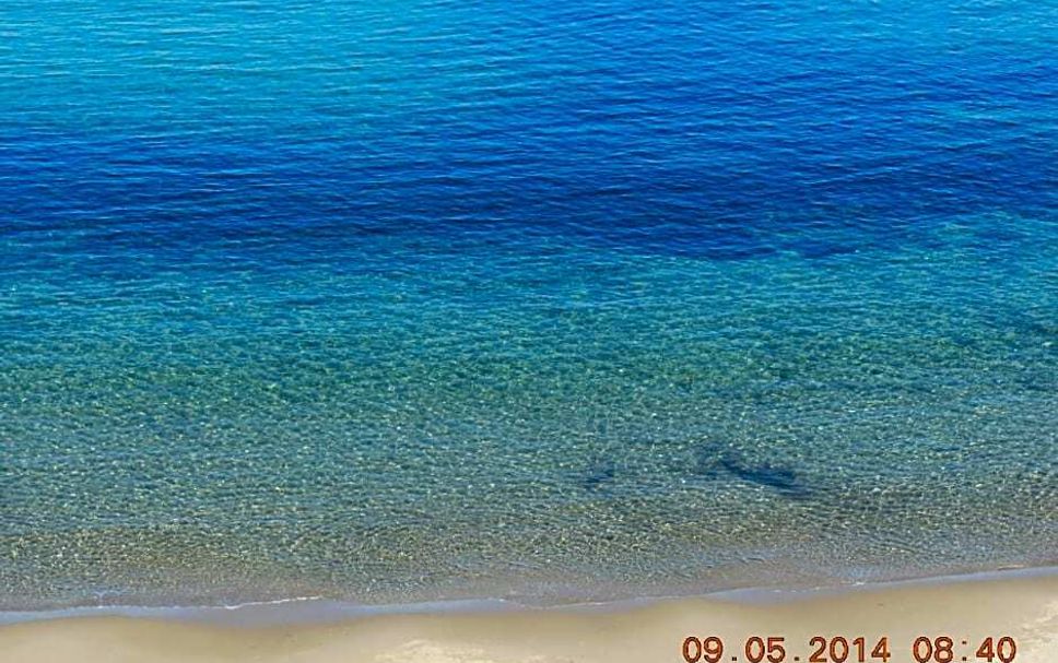 Strand Billede