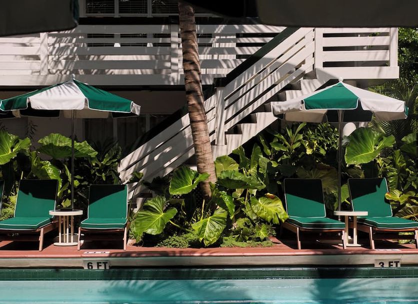 Pool Billede