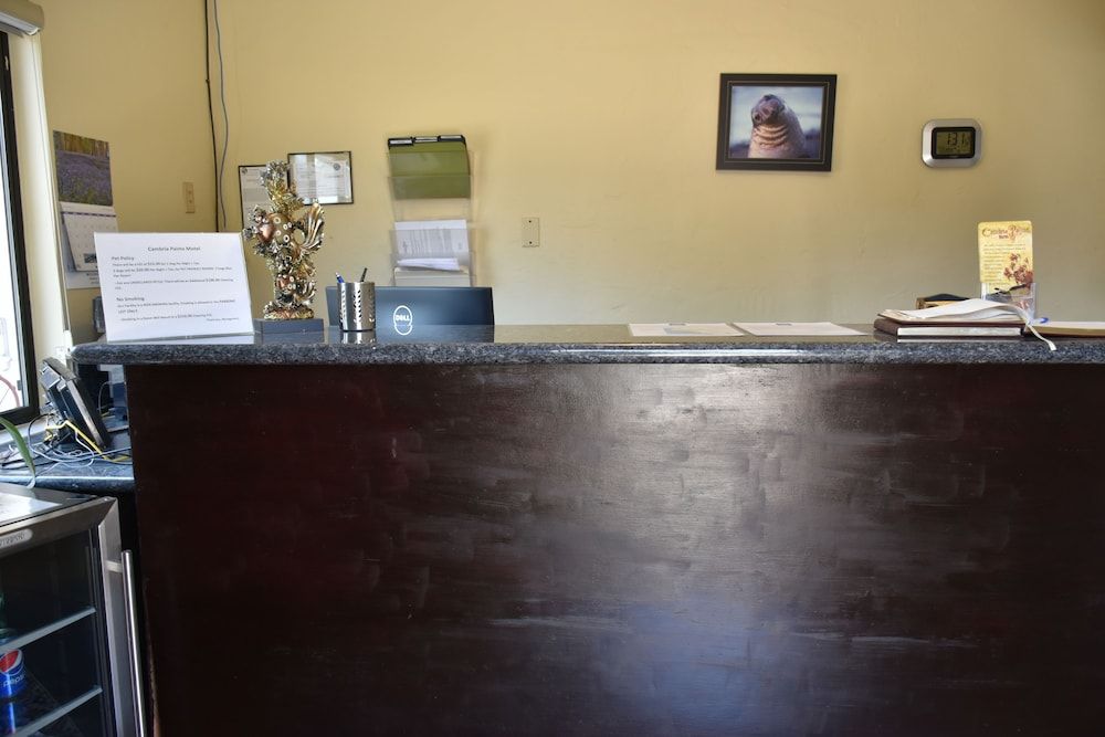 Receptionist