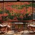 Andet