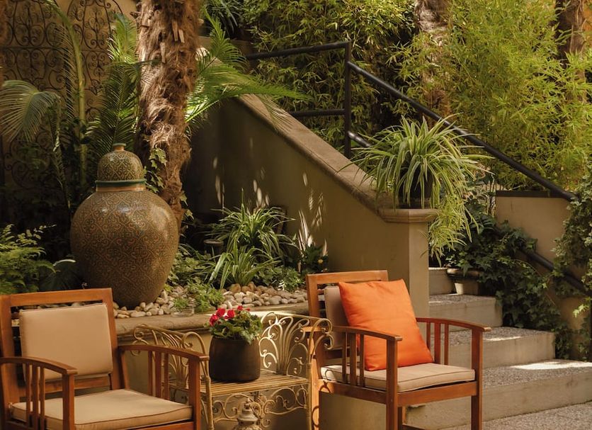 Patio Billede