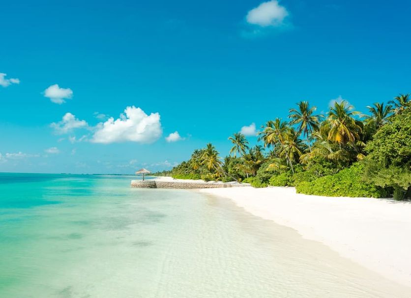 Strand Billede