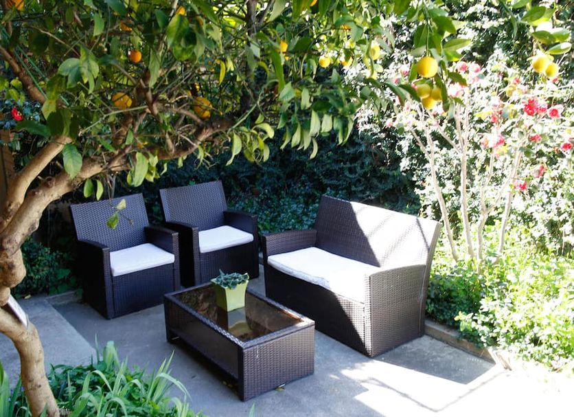 Patio Billede