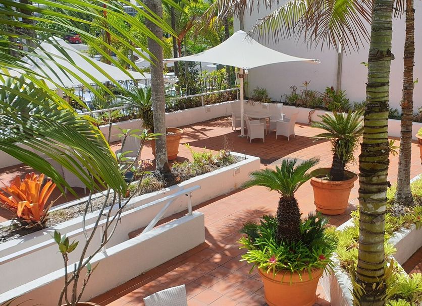 Patio Billede
