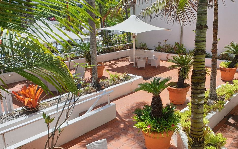 Patio Billede