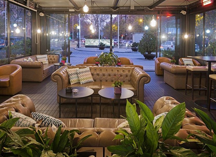 Lounge Billede