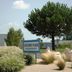 Udsigt