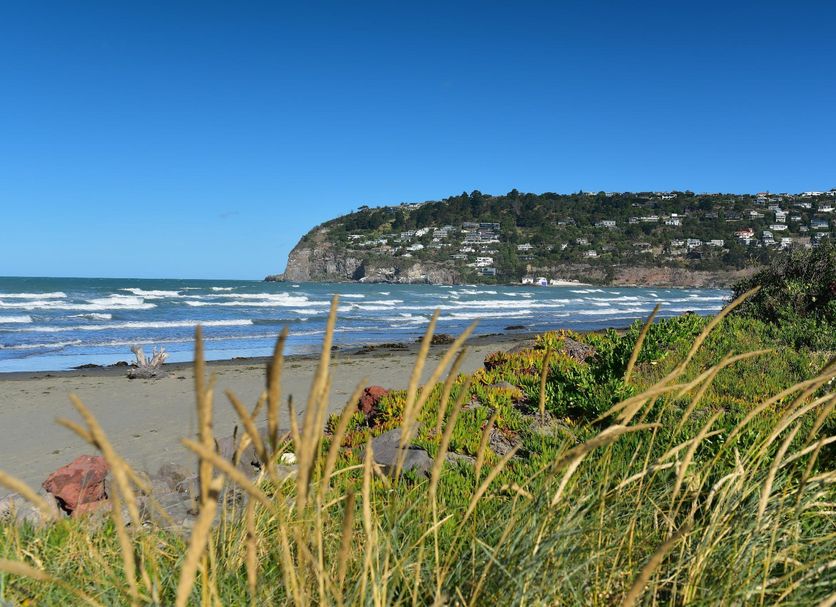 Strand Billede