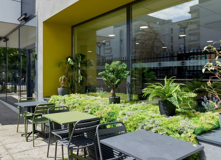 Patio Billede