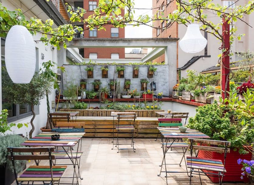 Patio Billede