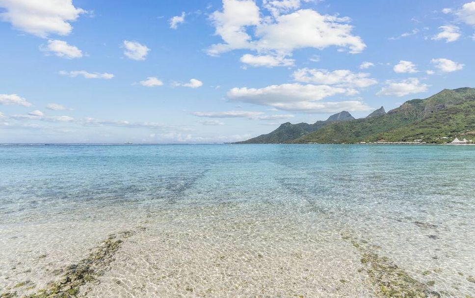 Strand Billede