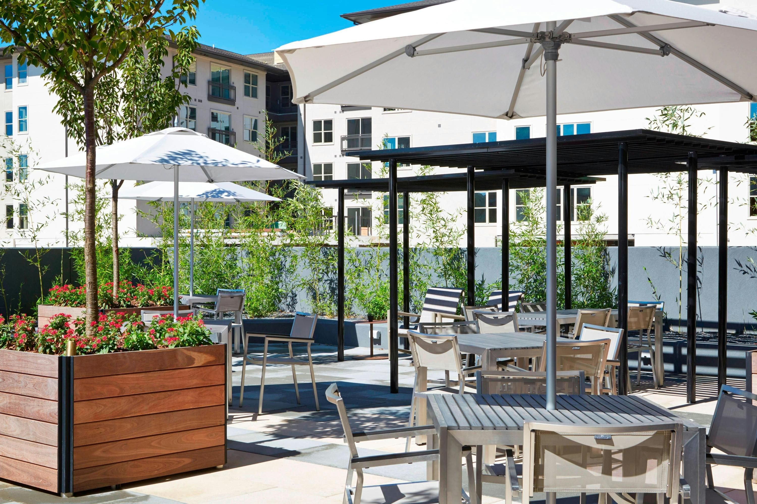 Patio Billede