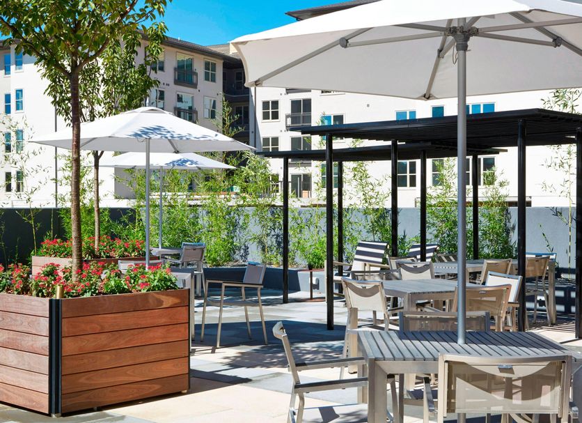 Patio Billede