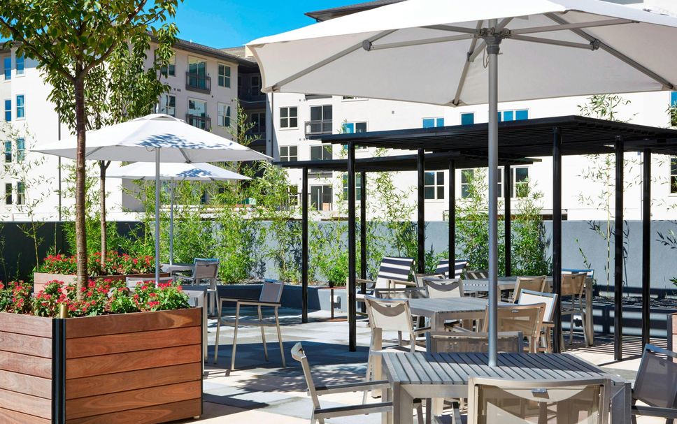 Patio Billede