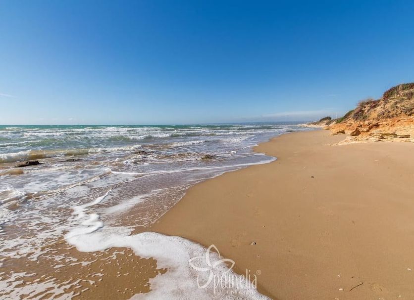 Strand Billede