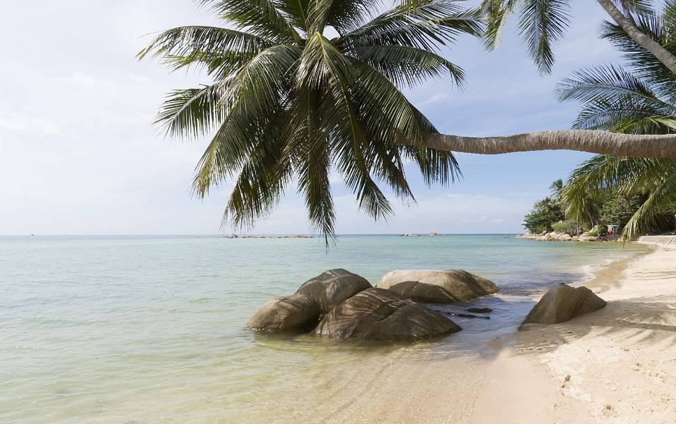 Strand Billede