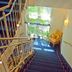 Trappe