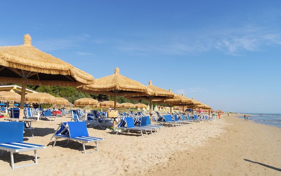 Strand Billede