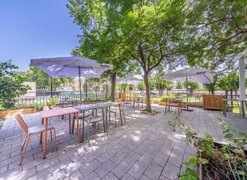 Patio Billede